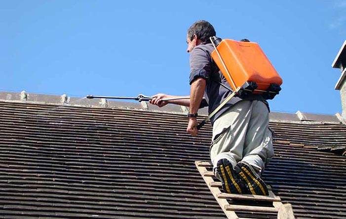 Nettoyage de toiture à Gaillac